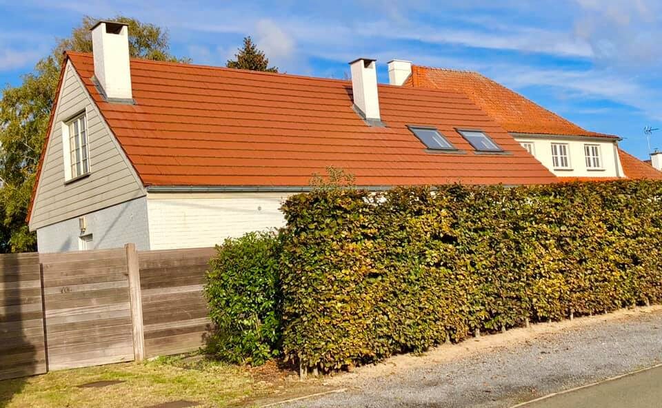 Extension d'une maison unifamiliale avec piscine à Tournai