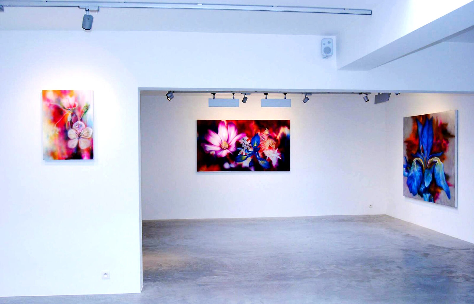 Transformation d'un hangar en galerie d'art à Tournai
