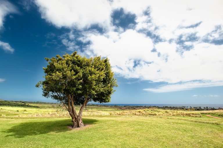 Comment bien choisir un terrain constructible : Suivez le guide
